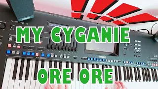 Krzysztof Krawczyk - My Cyganie ☆Yamaha GENOS☆