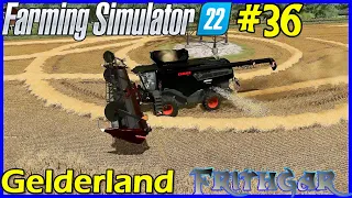 Let's Play FS22, Gelderland #36: Big Oat Field!