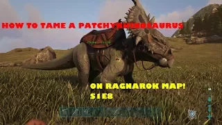 Ark - How To Tame A Patchyrhinosaurus & Use It's Abilities!