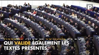 Élections européennes : quel est le rôle du député européen ?