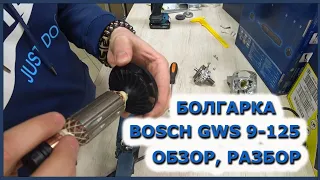 Болгарка Bosch GWS 9-125. Обзор