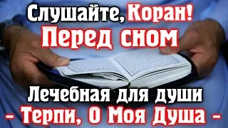 🌙 СЛУШАЙТЕ КОРАН ПЕРЕД СНОМ - ЛЕЧЕБНАЯ ДЛЯ ДУШИ, ТЕРПИ О МОЯ ДУША Очень красивое чтение корана