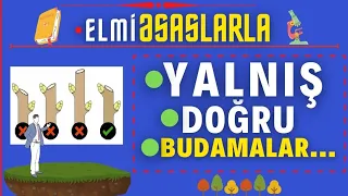 🪵🪚🤌   BUDAMA QAYDASI | BUDAMA NASIL YAPILIR ? | ÜZÜM BUDAMA PRUNING-ОБРЕЗКА | #ELMİƏSASLARLA