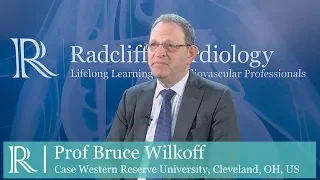 EHRA 2019 : WRAP-IT Trial - Prof Bruce Wilkoff