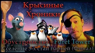 Крысы | Обустройство "Furet Tower", или окончание сселения. (Fancy Rat, Wild Rat)