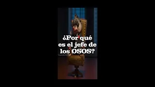 MISTERIOS de ZOOTOPIA ¿Por qué es el JEFE de los osos? #brillog #zootopia #teoria #misterio