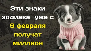 Глоба указал на четыре знака зодиака, которым уже с 9 февраля получат миллион