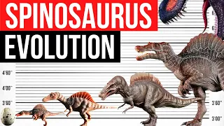 Evolution Of Spinosaurus | Life Cycle