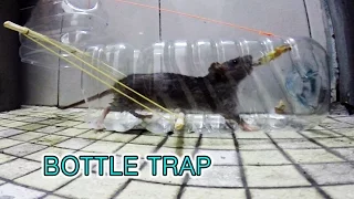 plastic bottle mouse trap (페트병 쥐덫)