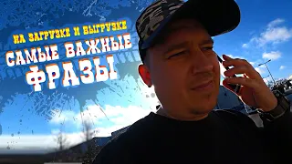 ⚠️ Самые важные фразы! 📣 Как разговаривать на загрузках или выгрузках?! Дальнобой по Европе