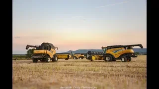 Harvest / Žatva 2019 - 3x New Holland ; služby Hartl & Šesták;