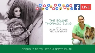 The Equine Thoracic Sling, with Celeste Lazaris