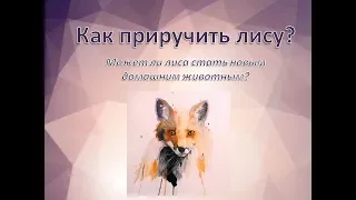 Мухамедшина И.А. Лекция: «Как приручить лису» (Часть 1).