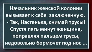 Начальник Женской Колонии Вызвал к Себе Заключенную Настеньку! Сборник Изумрудных Анекдотов №131