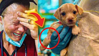 Vet Bursts Into Tears When Women Brings Him Her ”Puppy”