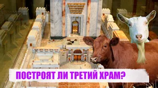 ПОСТРОЯТ ЛИ ТРЕТИЙ ХРАМ?