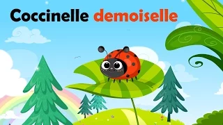 Coccinelle demoiselle, bête à bon dieu - French Nursery Rhyme for kids and babies (with lyrics)