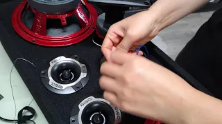 Wiring a DS18 Pro Series GodZilla Jr Chuchero
