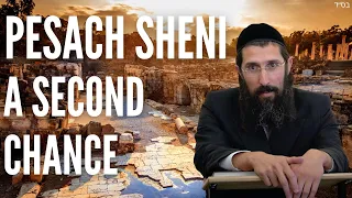 Pesach Sheni - A Second Chance