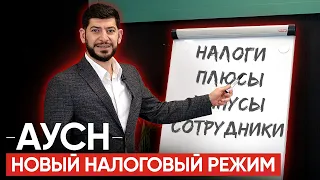 АУСН. Сколько платить налогов, плюсы и минусы, сравнение с патентом.