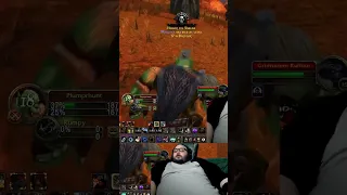 Wow Hardcore Hunter Without His Pet