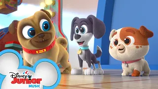 New Playcare for Puppies! 🐶 | Puppy Dog Pals | @Disney Junior