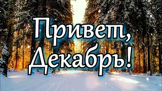 С Первым Днём Зимы! Красивое Поздравление с Началом Зимы!