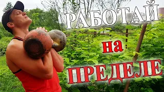 "РЕНЕГАТ" - Комплекс на Все Мышцы Тела с Гирями!