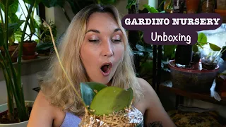 8 New Hoya! Gardino Nursury Unboxing