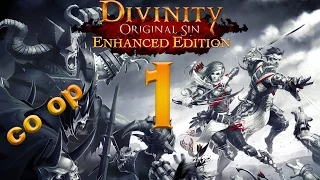 Divinity Original Sin Enhanced Edition coop part 1 Character Creation