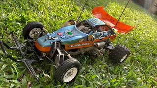 Tamiya Frog Lazy Sunday Backyard RC Bash