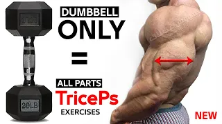 TRICEPS Exercises WITH DUMBBELLS AT HOME AND GYM