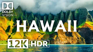 HAWAII 12K HDR 120FPS | Dolby Vision® in 2023