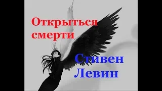 Отрыться смерти. Стивен Левин