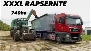 Raps auf LKW Überladen! XXXL Rapsernte 740ha mit 3 Claas Lexion Mähdrescher Raps dreschen 2023