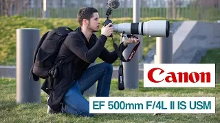Canon EF 500mm F/4L IS II USM | 9000€ | SPOTTER Spezial | SUPER TELEOBJEKTIV | deutsch review