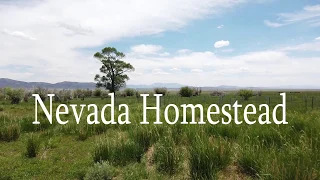 Nevada Homestead Introduction