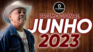 🟢 FERRO NA BONECA - PROMOCIONAL JUNHO 2023 [ MÚSICAS NOVAS - BRIOLA ]
