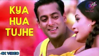 Kya Hua Tujhe _ Tumko Na Bhool Paayenge - Salman Khan_ Sushmita Sen_ Diya Mirza (4K_HD)