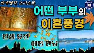 세계명작오디오북 / 오헨리 단편소설 [인생유전/어떤 만남] Audiobook in Korean