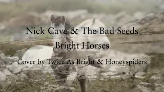 Bright Horses - Nick Cave and The Bad Seeds - Piano/Ambient Guitar Cover with Honeyspiders