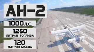 Ни слова о кукурузе. АН-2