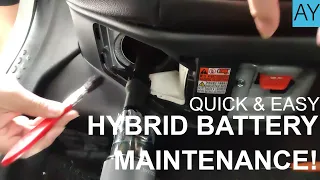 Keep your Toyota Hybrid in Tip-Top Shape in 5 minutes! Easy Hybrid Battery Maintenance | AY