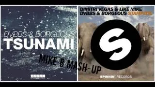 Dimitri Vegas & Like Mike vs DVBBS & Borgeous - Stampede vs Tsunami(Mike B Mashup)