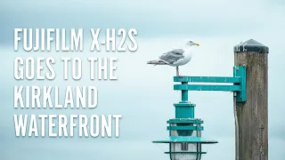 Fujifilm X-H2S Goes to Kirkland Waterfront