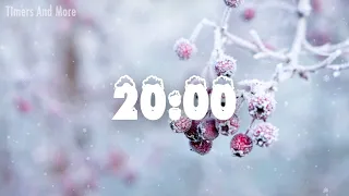 20 Minute Winter Theme Timer | Relaxing music and Alarm