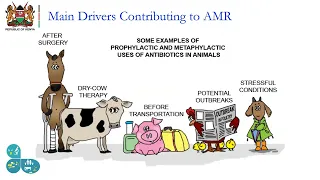 AMR CoP ECHO Session May 2022: Strengthening Quality In Animal Health To Support Of AMR Surveillance