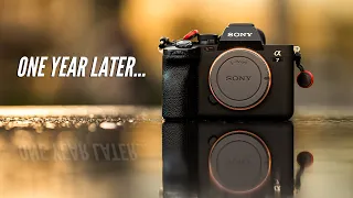 Sony A7IV Long Term Review // The Almost Perfect Hybrid Camera