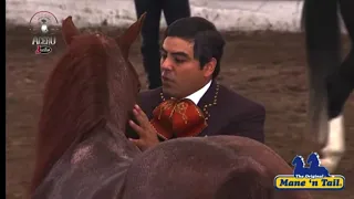 ULTIMA CALA Y DESPEDIDA DE CG CANELITIO CABALLO DE ACERO