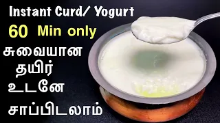 Instant curd recipe in Tamil/Homemade instant yogurt/how to make curd in 60 minutes